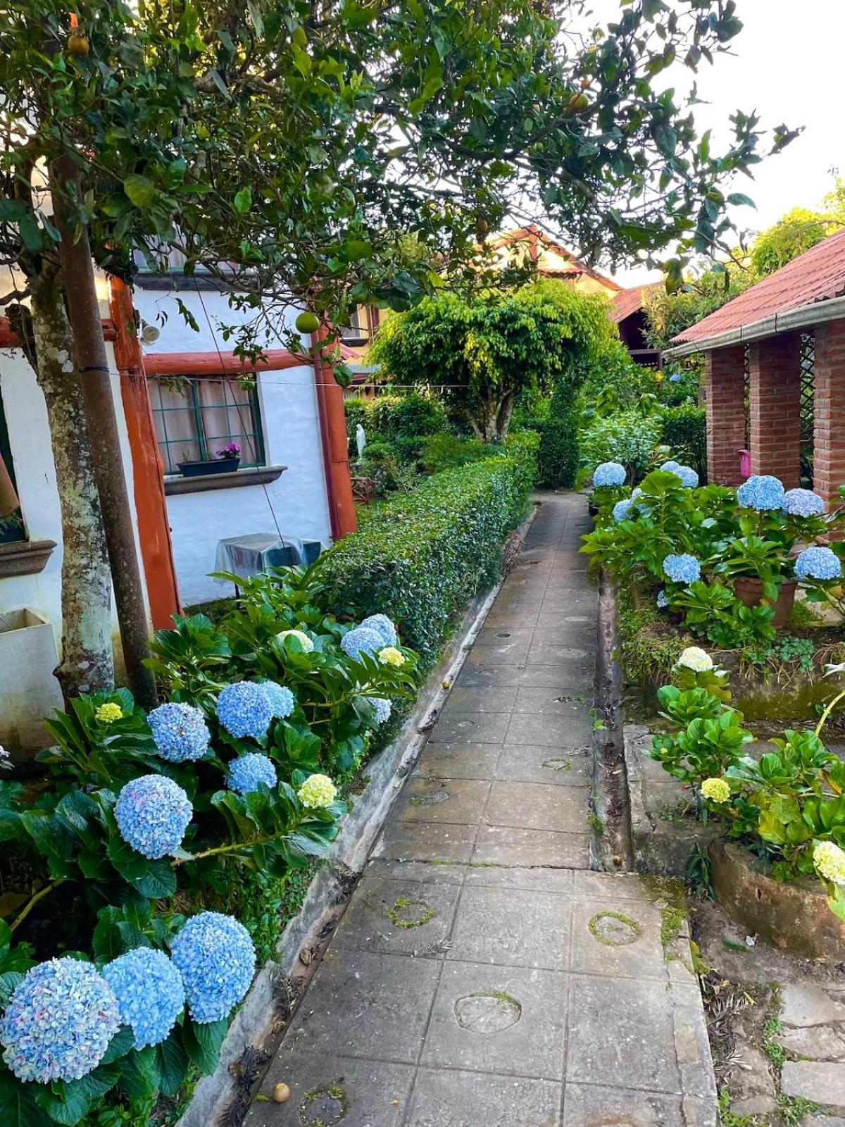 Casa Heidi, Apaneca Villa Dış mekan fotoğraf
